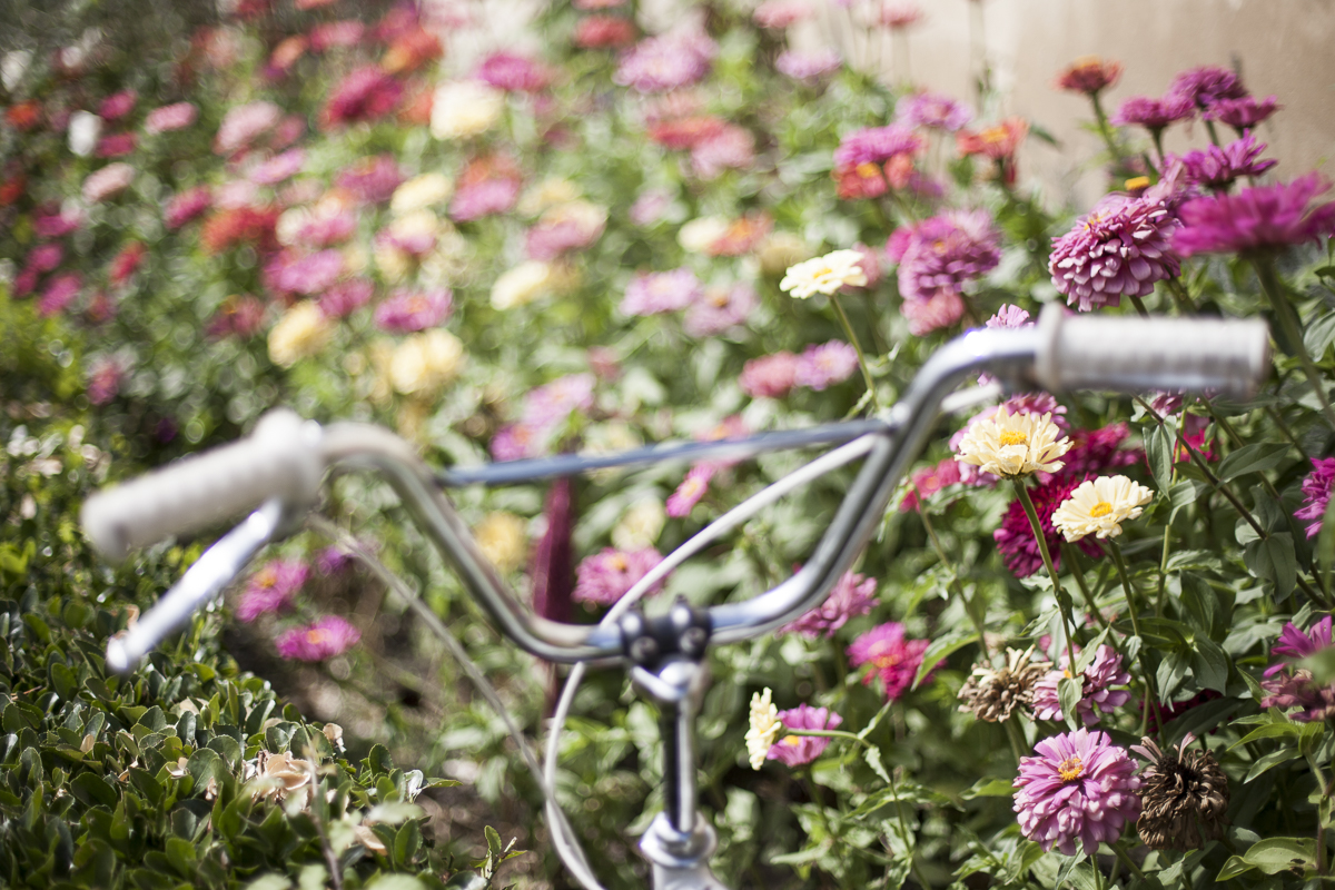 Estíbaliz Díaz fotografía artística en Vitoria - foto 3