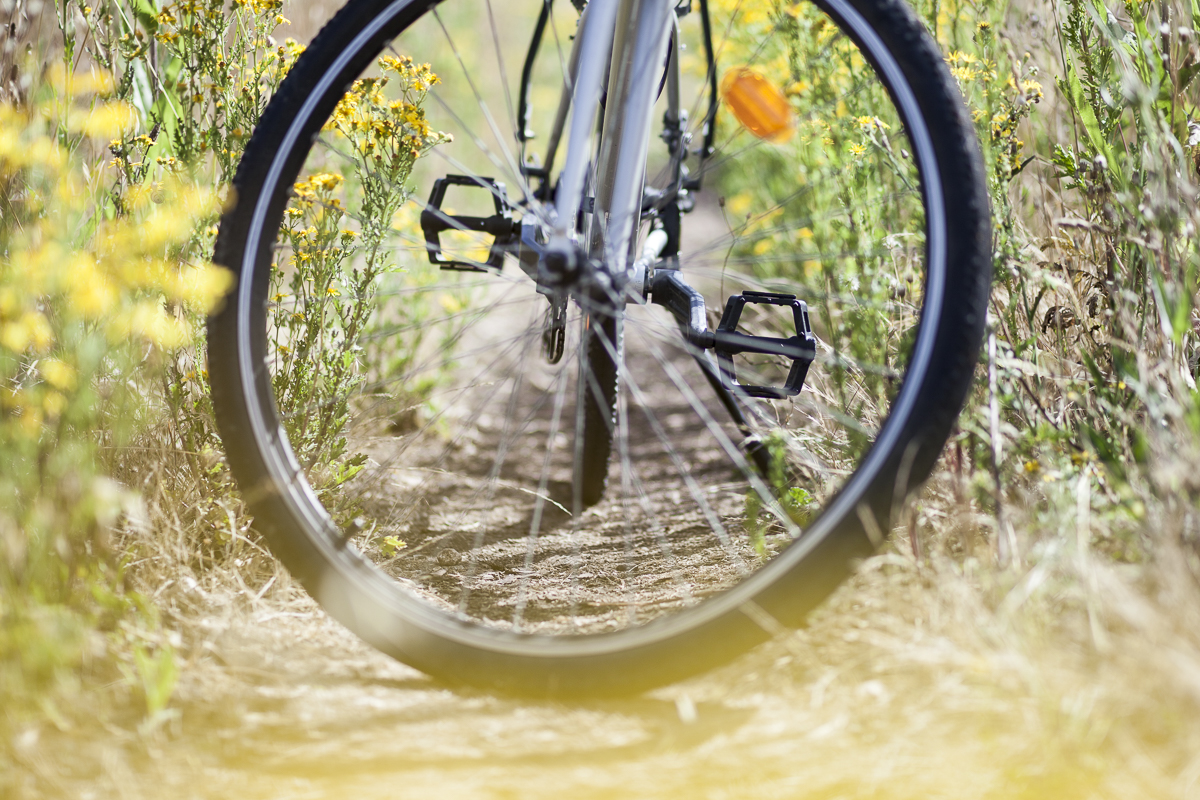 Estíbaliz Díaz fotografía artística en Vitoria - foto 4